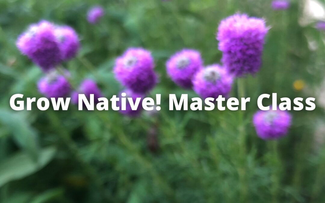 Grow Native! Master Class: Gardening on the Rocks with Scott Woodbury
