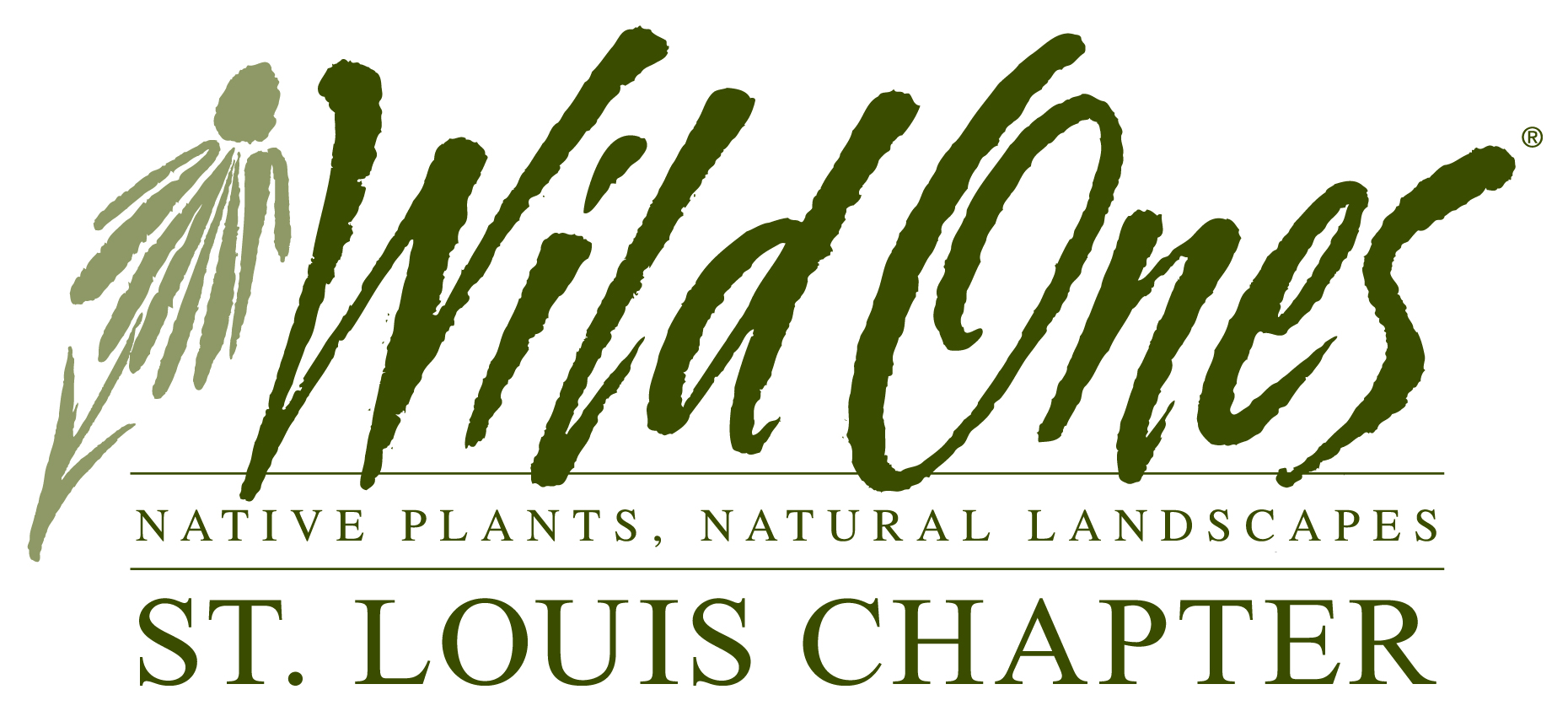 Logo reads: Wild Ones native plants, natural landscapes St. Louis Chapter