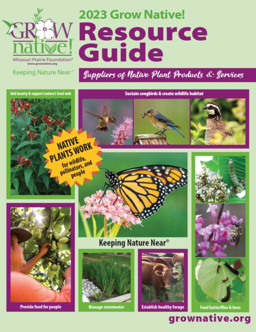 Cover of the 2022 Grow Native! resource guide with a grid of photos, including a small girl looking at a monarch butterfly, a bluebird, a hummingbird, a bobwhite quail, a bee on a purple flower, a man picking a paw paw fruit, etc. 