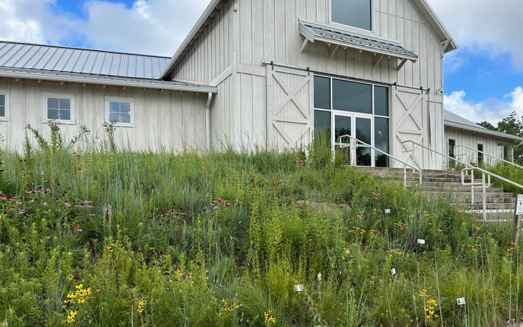 Laura Ingalls Wilder Historic Home and Museum Monarch Garden — Mansfield, MO